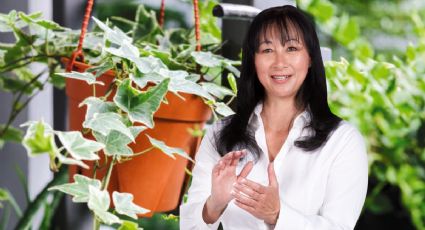 La planta milagrosa que elimina la humedad, purifica el aire y reduce el estrés