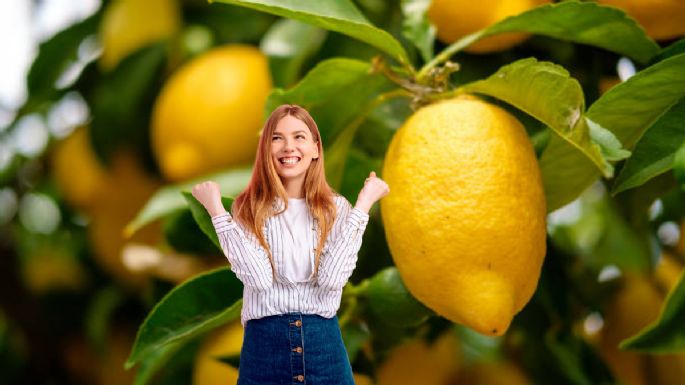 Los desechos de cocina que debes usar en tu limonero para que estalle de frutas en noviembre