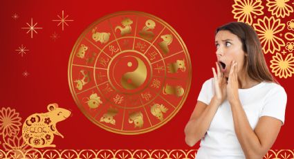 Rata de Madera: los 3 signos que tendrán nuevas oportunidades en noviembre, según la astrología oriental