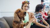 Foto ilustrativa de la nota titulada Los peligros de las comidas festivas para las mascotas: todo lo que hay que saber