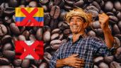 Foto ilustrativa de la nota titulada Ni Perú ni Colombia: cuál es el país de Sudamérica que produce más café en todo el mundo según destacado ranking internacional