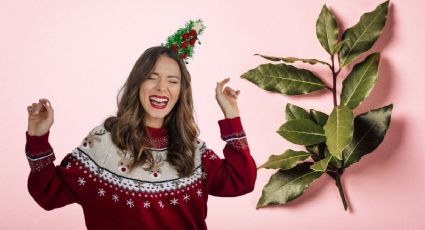 Toma asiento antes de conocer el truco de colocar laurel en los adornos navideños