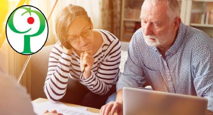 La guía definitiva para consultar tu saldo en Colpensiones: paso a paso