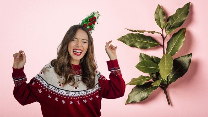 Toma asiento antes de conocer el truco de colocar laurel en los adornos navideños