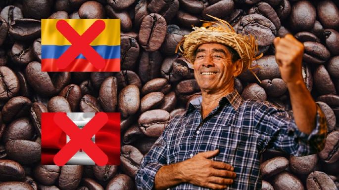 Ni Perú ni Colombia: cuál es el país de Sudamérica que produce más café en todo el mundo según destacado ranking internacional