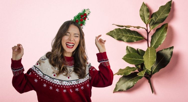 Toma asiento antes de conocer el truco de colocar laurel en los adornos navideños