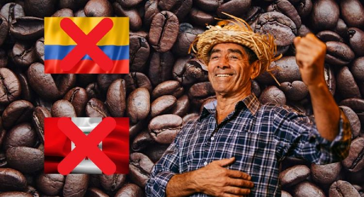 Ni Perú ni Colombia: cuál es el país de Sudamérica que produce más café en todo el mundo según destacado ranking internacional