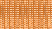 Foto ilustrativa de la nota titulada Solo una persona astuta puede encontrar la palabra 'Tela' en menos de 10 segundos