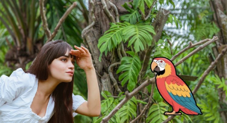 Dime qué loro te gusta más y te diré si eres realmente alegre