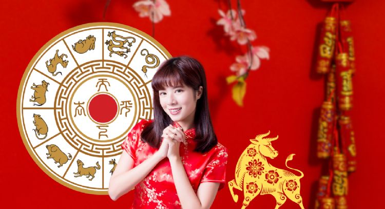 Búfalo de Metal: los 3 sigos que nadarán en abundancia en la tercera semana de diciembre