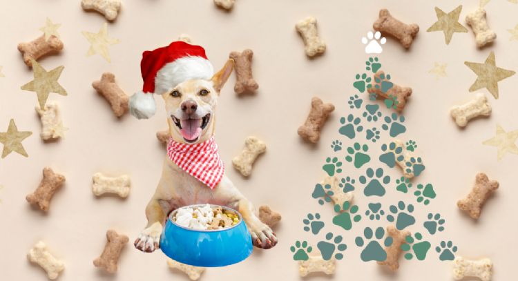 Transforma la Navidad de tu perro: 3 recetas exclusivas para disfrutar de estas fiestas al máximo