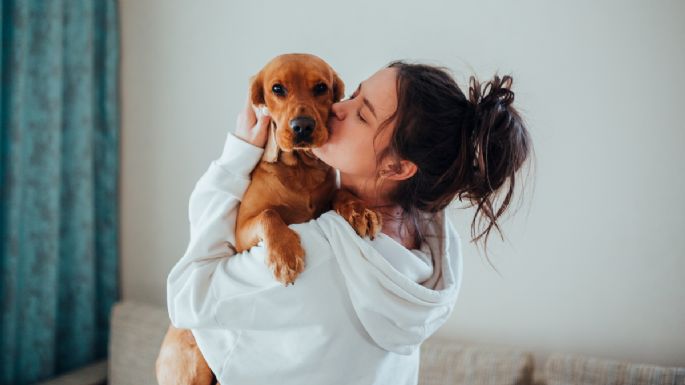 Descubre los 7 consejos infalibles para el cuidado de tu perro en casa: hazlo feliz y saludable hoy mismo