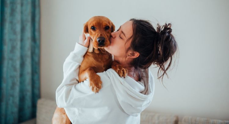 Descubre los 7 consejos infalibles para el cuidado de tu perro en casa: hazlo feliz y saludable hoy