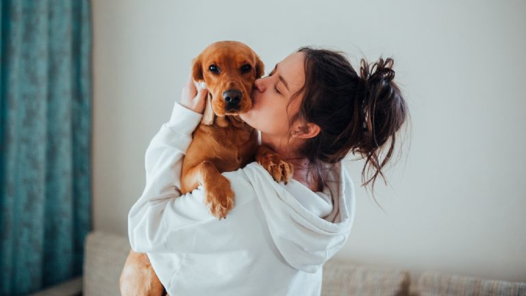 como decirle te quiero a un perro en lenguaje canino