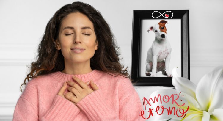 Llegó la oportunidad de sanar: cómo transformar el duelo por tu mascota en gratitud