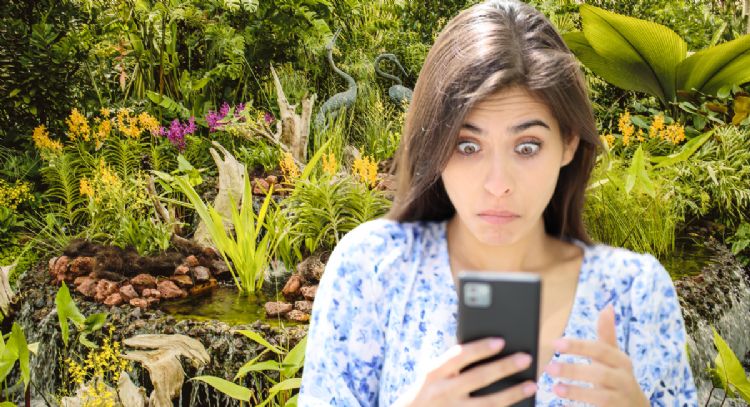 Toma asiento antes de conocer cuánto cuestan las boletas para el Jardín Botánico en Bogotá a partir del 7 de diciembre
