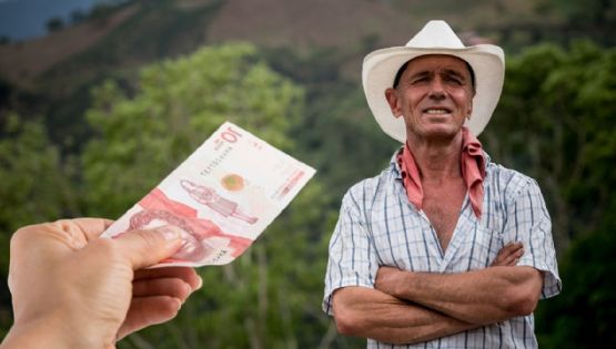 Colombia Mayor: estas son las FECHAS de PAGO en 2025 vía DPS