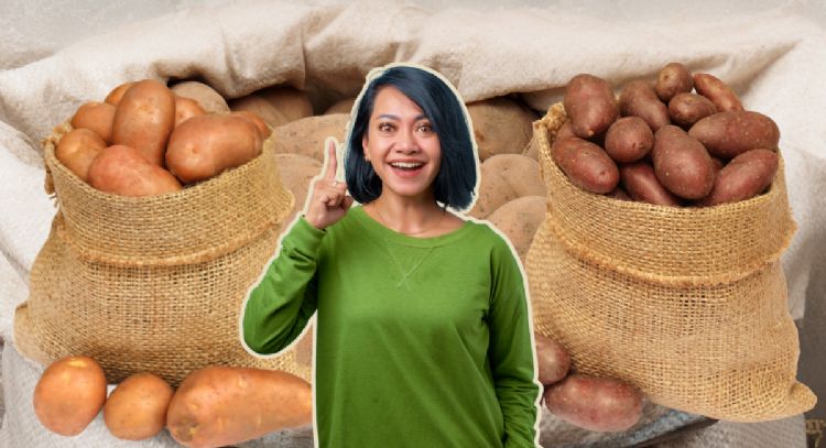 Conoce el lugar mágico para guardar las papas y que duren hasta 6 meses