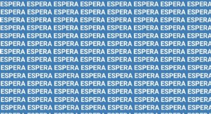 Solo una vista privilegiada puede encontrar la palabra 'Esfera' en menos de 10 segundos