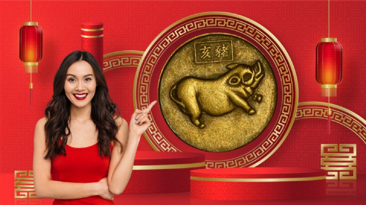 Cerdo de Metal: los 4 animales que vivirán importantes cambios en diciembre, según la astrología oriental