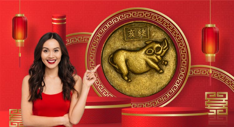 Cerdo de Metal: los 4 animales que vivirán importantes cambios en diciembre, según la astrología oriental