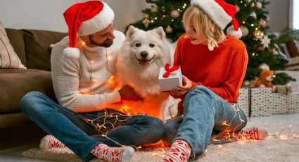 Sorprende a tu perro con los mejores juguetes y accesorios esta Navidad