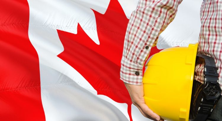 ¿Quieres trabajar en Canadá? Estas son las vacantes con sueldos de hasta 12 millones de pesos