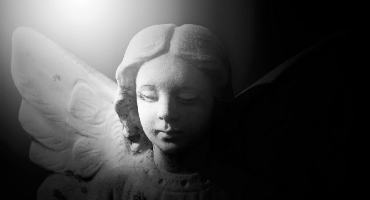 El mensaje de los ángeles para cada signo para atraer la abundancia este 12 de febrero