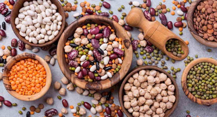 Cuál es la legumbre que ayuda a reducir el azúcar en sangre