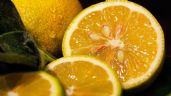 Conoce el profundo significado de dormir con un limón al lado de la cama
