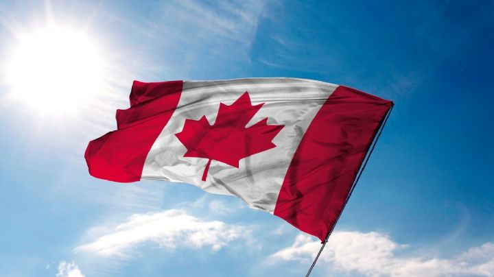 ¿Quieres trabajar en Canadá? Estas son las vacantes con sueldos de hasta 4 millones de pesos