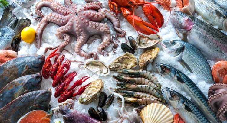 Toma nota: estos son los pescados más baratos en Colombia para la Cuaresma