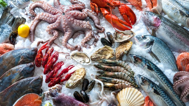 Toma nota: estos son los pescados más baratos en Colombia para la Cuaresma