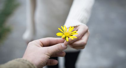 Conoce la verdadera razón por la que se regalan flores este 29 de febrero