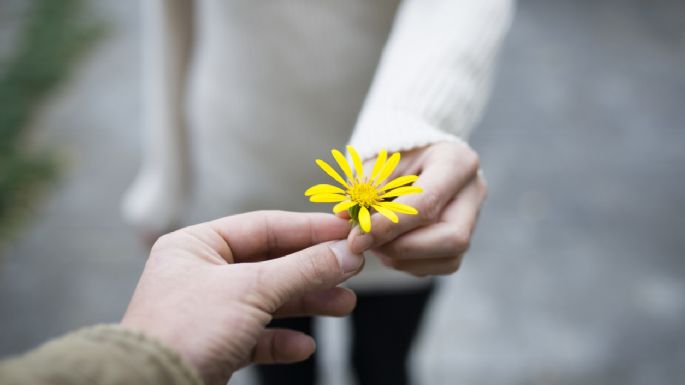 Conoce la verdadera razón por la que se regalan flores este 29 de febrero