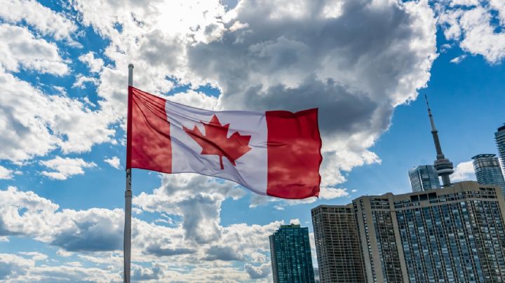 ¿Quieres ganar 20 dólares por hora? Este es el empleo en Canadá para el que no necesitas inglés
