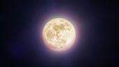 5 signos que se verán afectados por la Luna Nueva del 9 de febrero