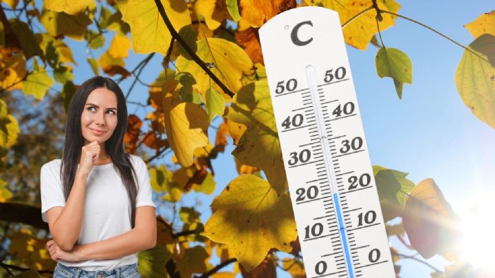 Mantén la calma antes de saber la temperatura perfecta para ser feliz, según la ciencia