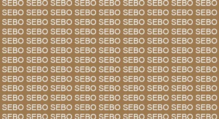 Sólo una persona talentosa puede encontrar la palabra 'Seco' en menos de 5 segundos