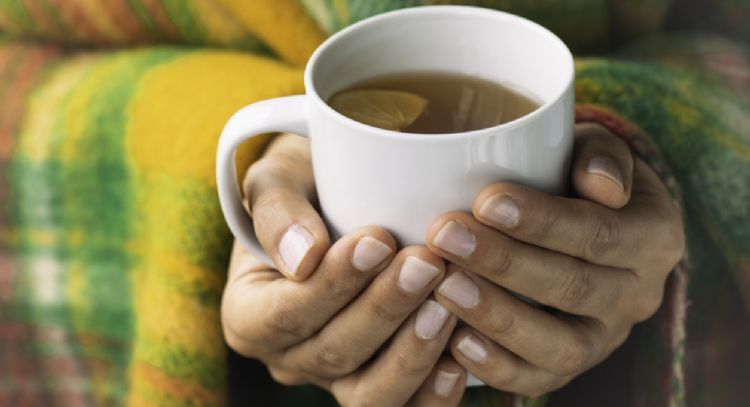 Cuál es la infusión que tiene propiedades antiinflamatorias y te ayudará en la cicatrización de la piel