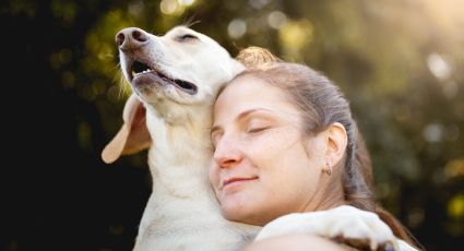 Descubre qué razas de perros te pondrán a prueba pero robarán tu corazón