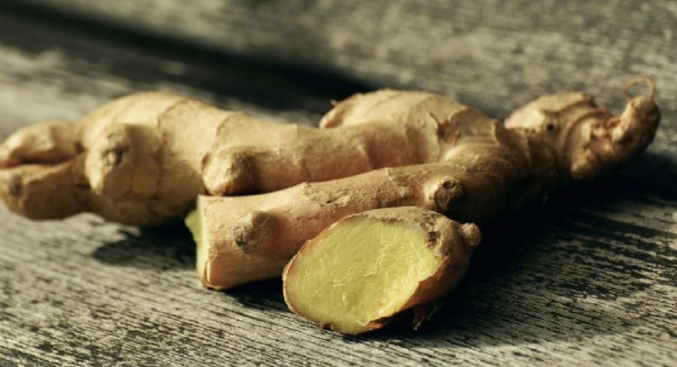 La hierba natural que calma las náuseas, vómitos y dolores