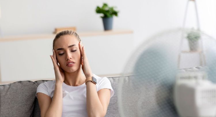 Cuál es la planta que el Feng Shui no recomienda tener y pocos conocen