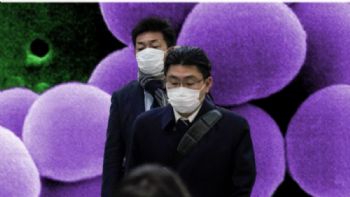 Qué es el Estreptococo A, la "enfermedad carnívora" que tiene en alerta a Japón
