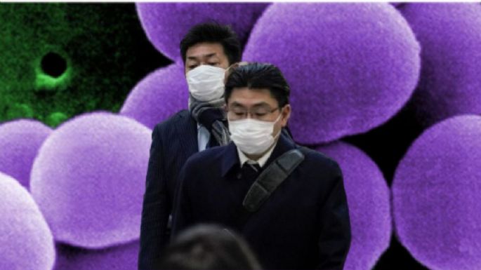 Qué es el Estreptococo A, la "enfermedad carnívora" que tiene en alerta a Japón