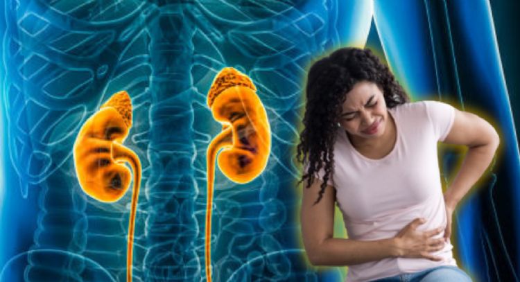 Conoce cómo limpiar tus riñones con una deliciosa fruta