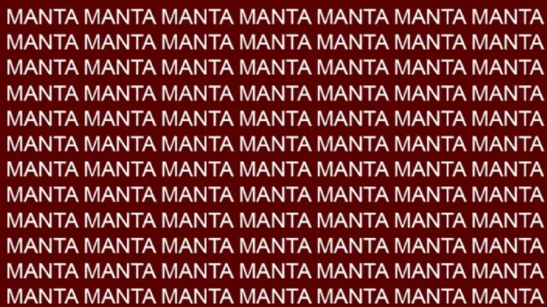 Solo una mente arriesgada puede encontrar la palabra 'Manto' en menos de 5 segundos