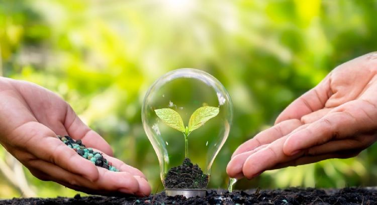 Cuál es la fruta que puede hacer crecer tus plantas en tiempo récord