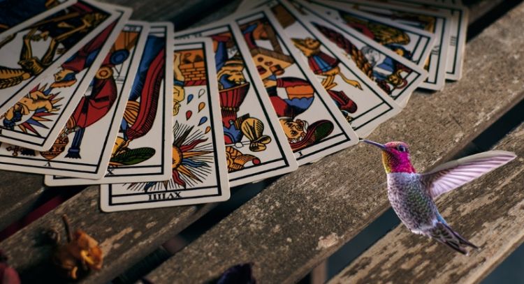 Tarot del Colibrí: este es el mensaje de las cartas para este 7 de marzo