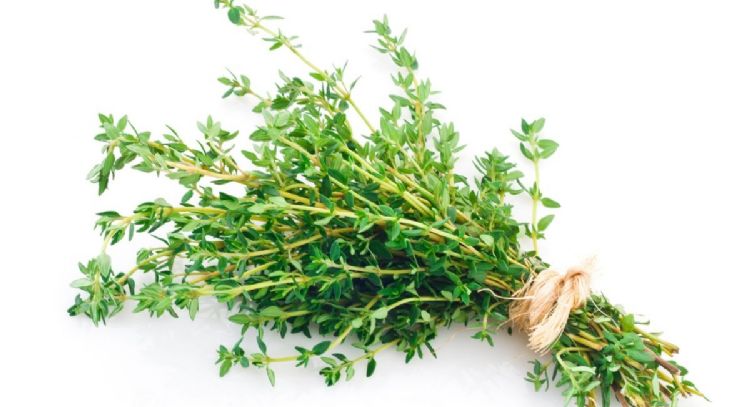 Dile adiós a las malas energías del hogar con esta planta aromática que usas en la cocina